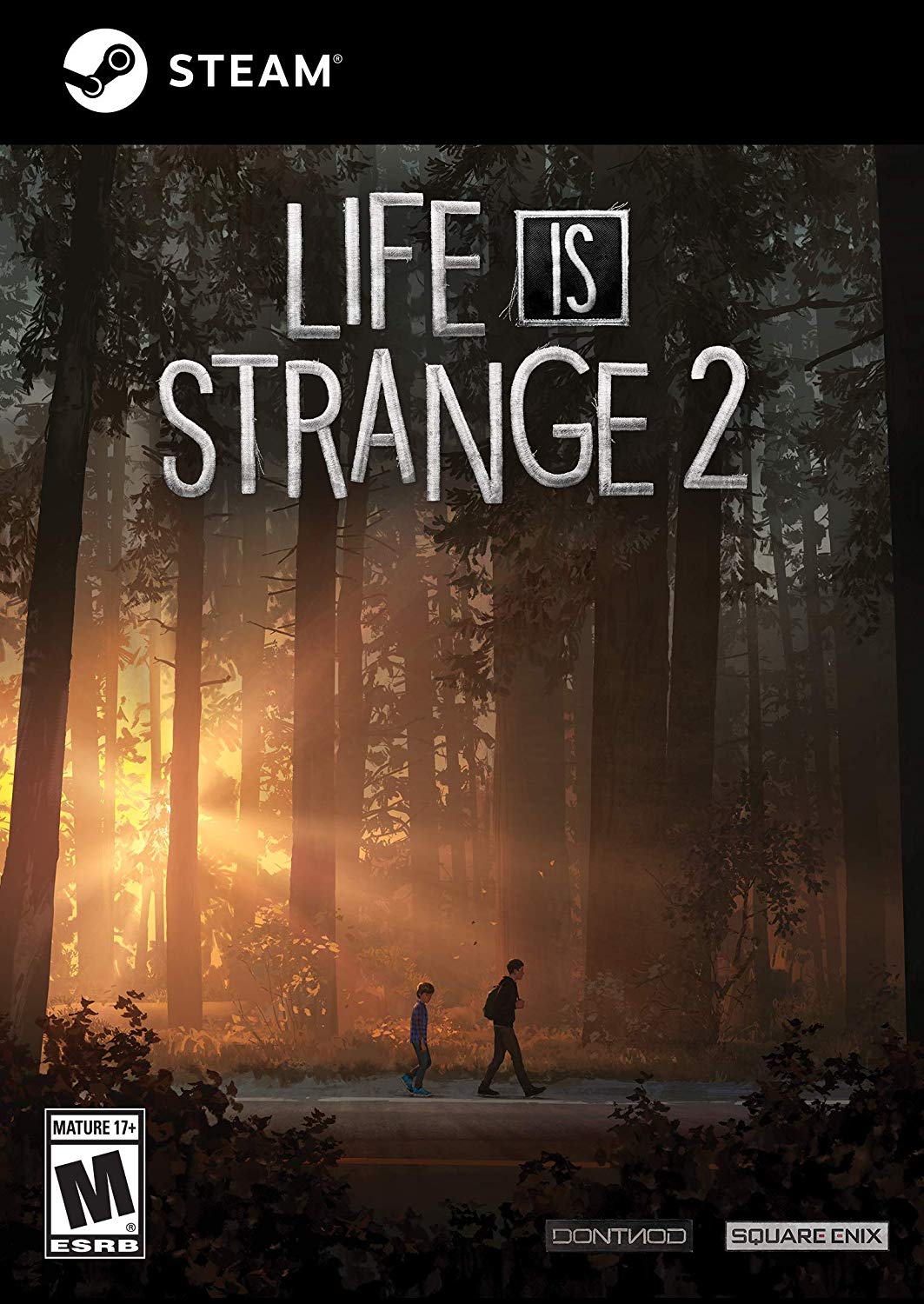 life is strange 2 sex scene